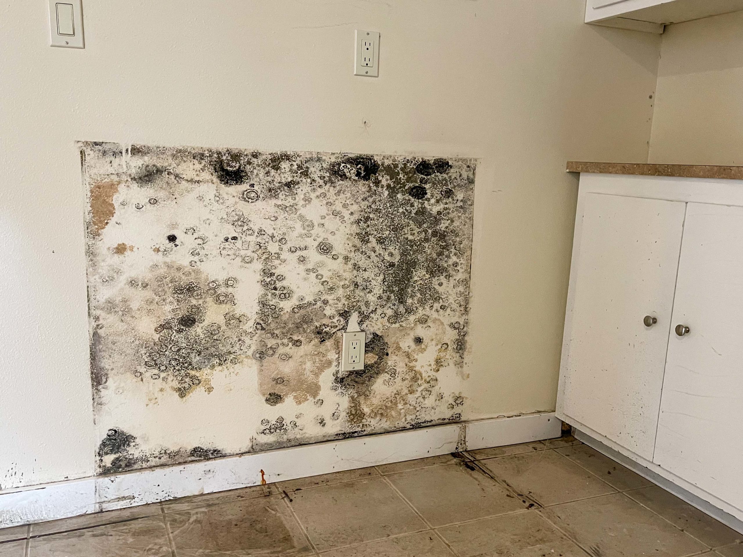 Mold On Drywall Behind Cabinet