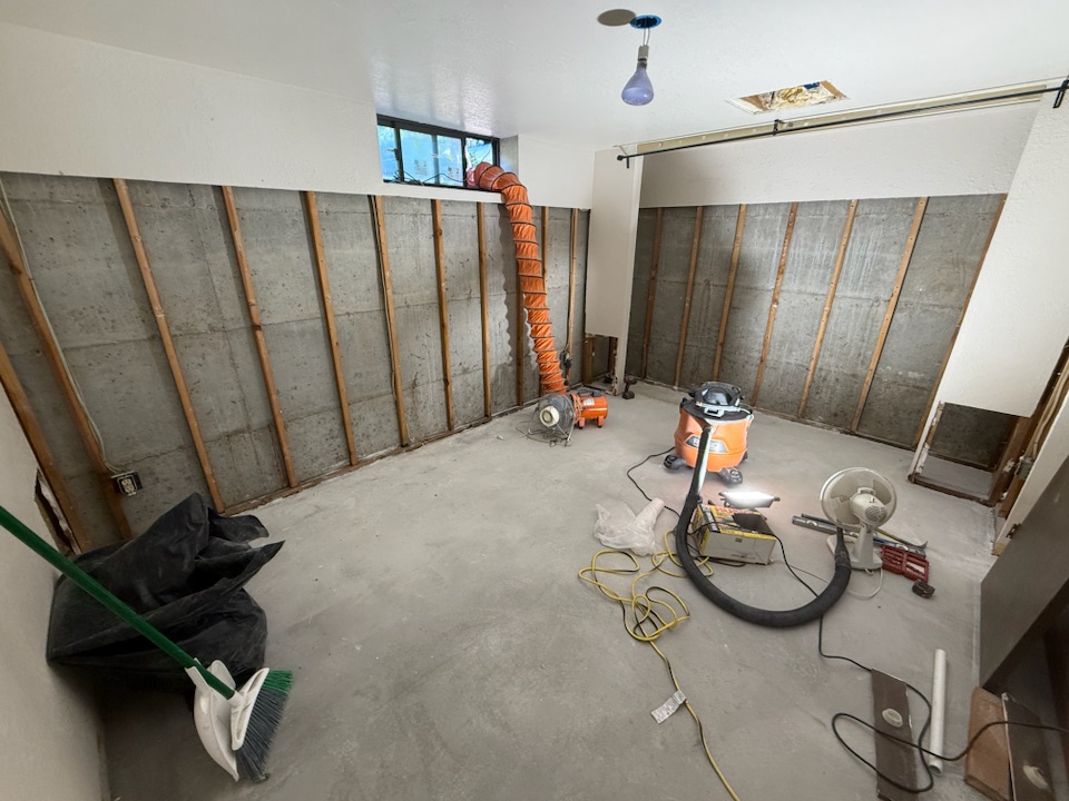 Fremont Mold Remediation After